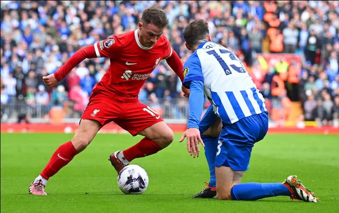 Soi kèo hôm nay Liverpool vs Brighton chuẩn thắng